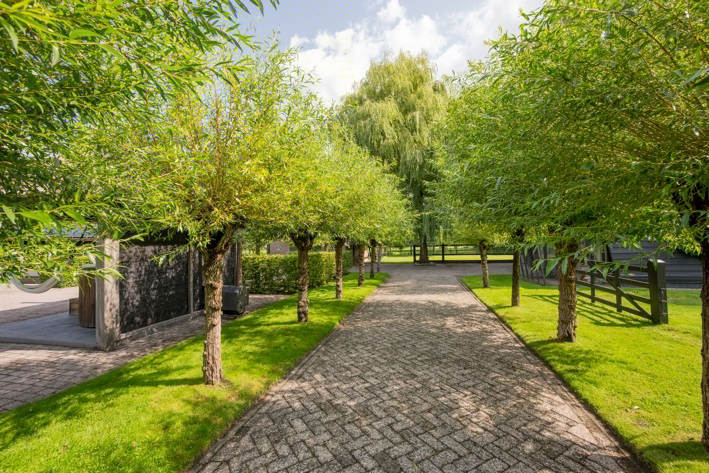 Photo 55 of Damweg 8