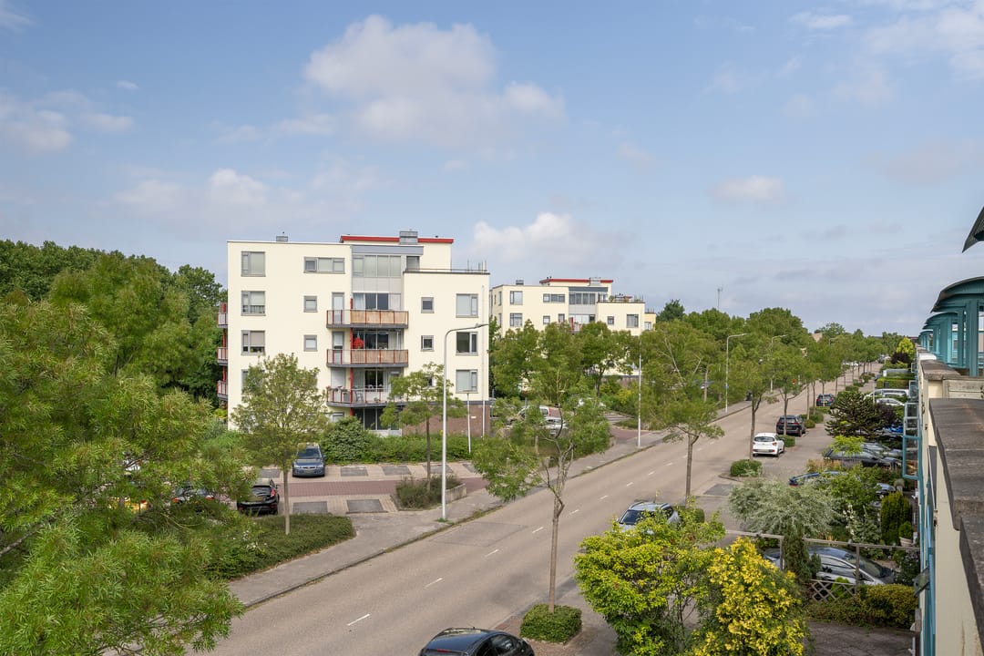 Photo 38 of Dreeslaan 114