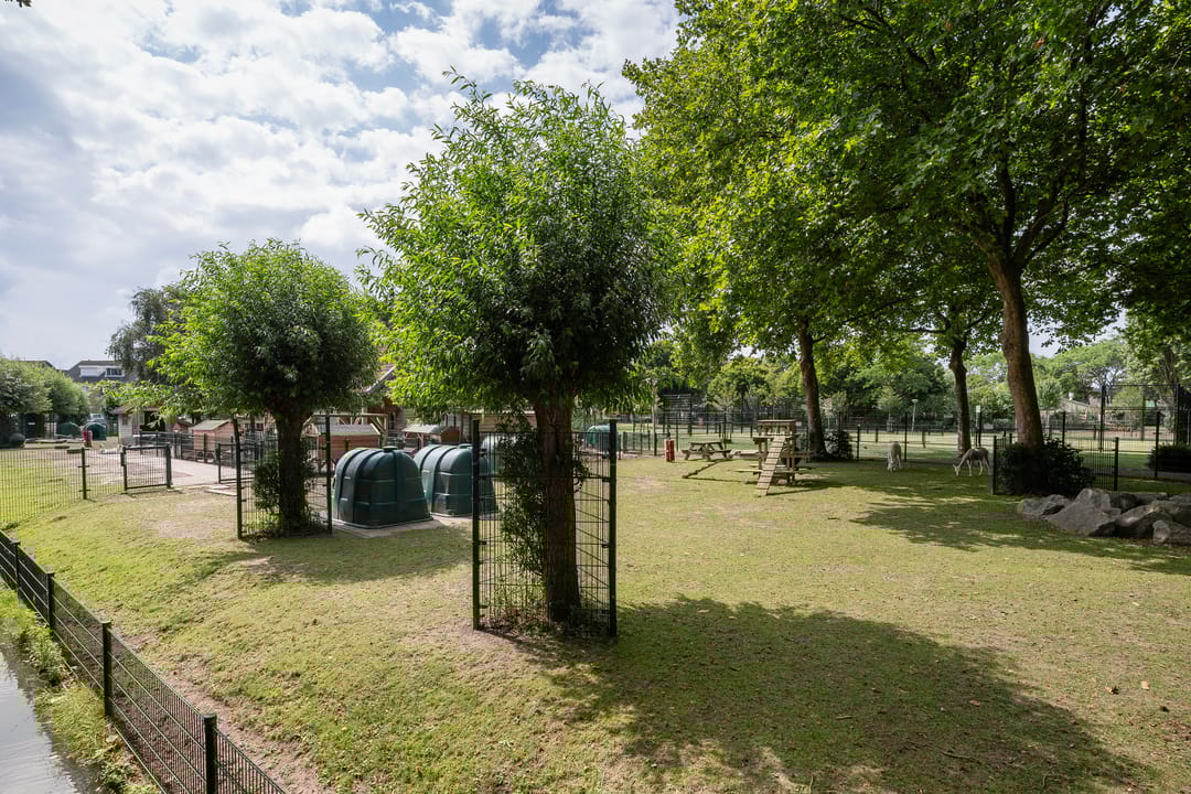 Photo 43 of Dreeslaan 114