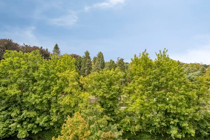 Foto 17 van Sauterneslaan 32-F