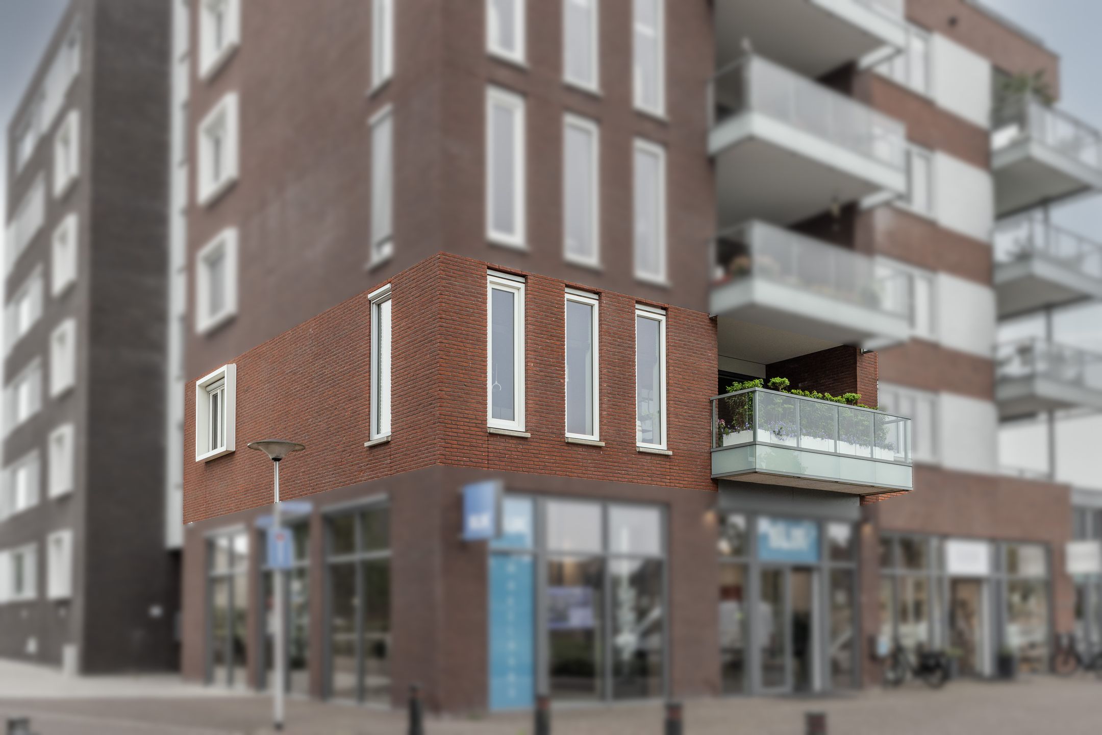 Foto 42 van Buizerdhof 8