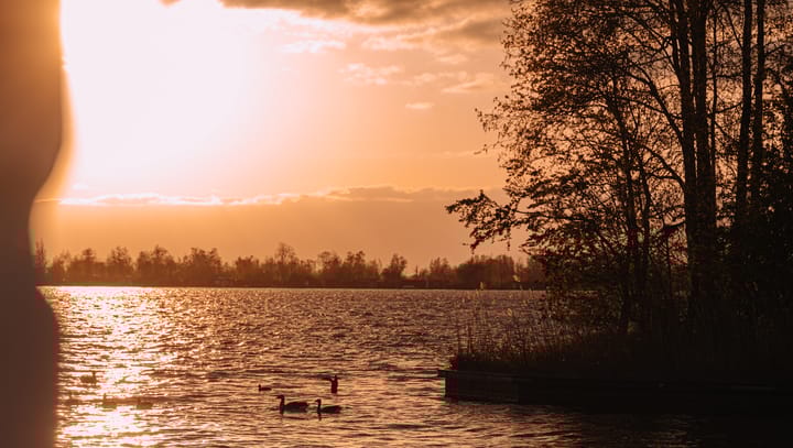 Photo 46 of Baambrugse Zuwe 141-D