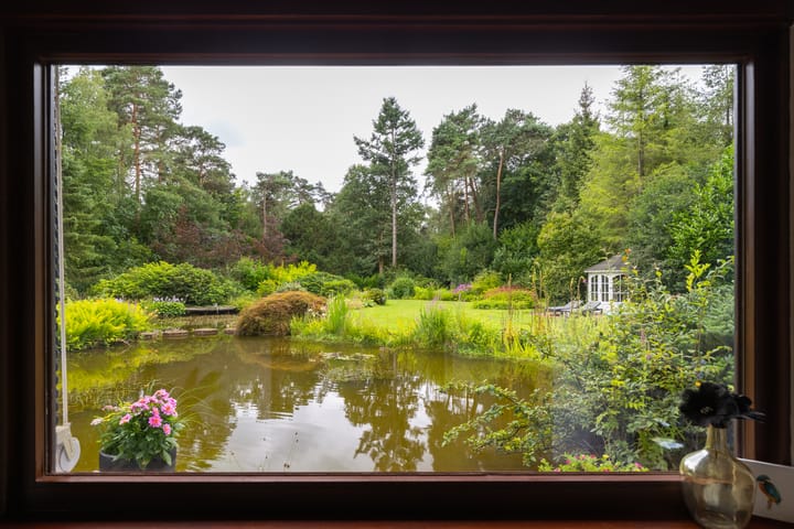 Photo 21 of Juliana van Stolberglaan 10