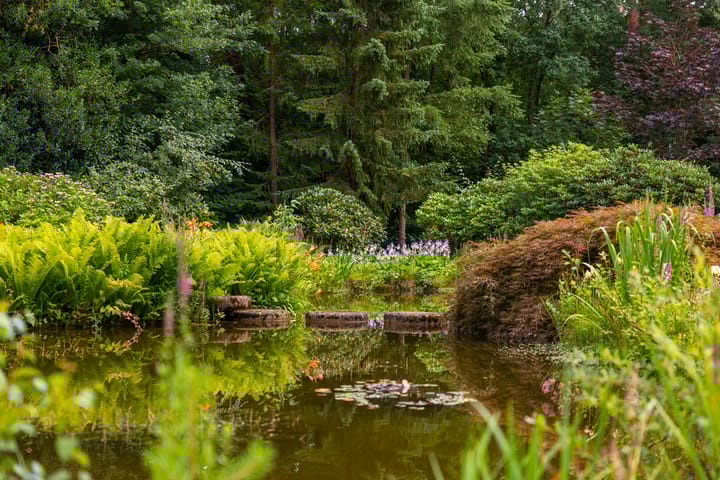 Photo 64 of Juliana van Stolberglaan 10