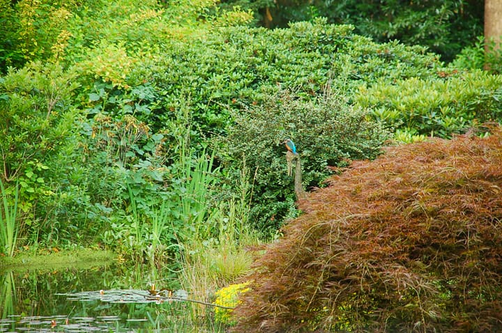 Photo 67 of Juliana van Stolberglaan 10