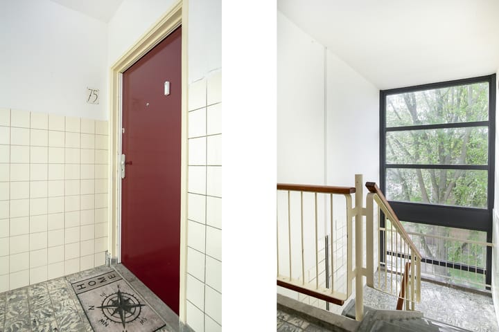 Foto 5 van Schependreef 75