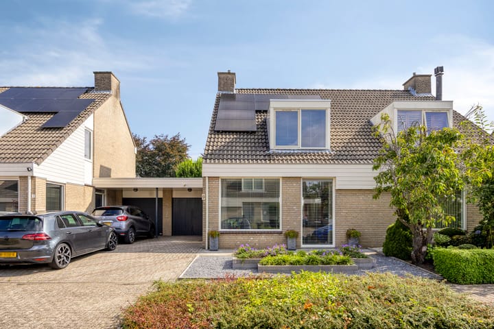 Haag 9