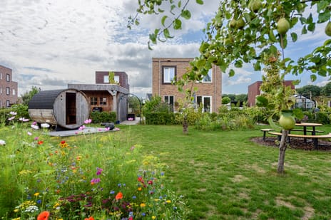 Isaac Newtonstraat thumbnail