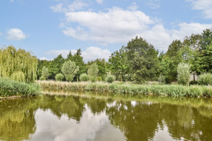 Foto 23 van Kloekhorststraat 273