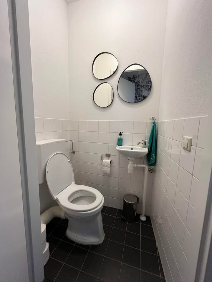 Photo 15 of Reinwardtstraat 73-A