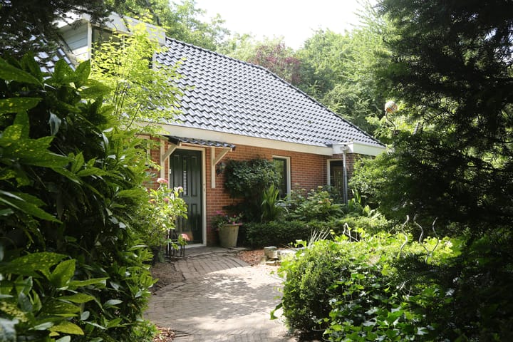 Foto 6 van Jinkepaed 5