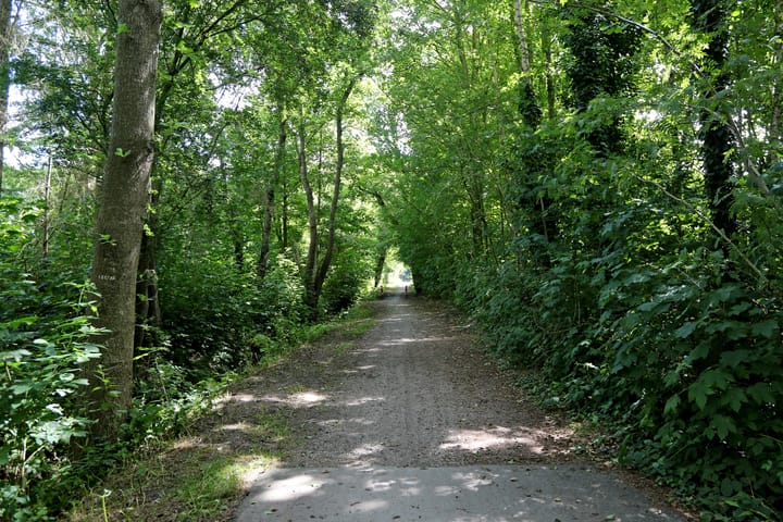 Foto 29 van Jinkepaed 5