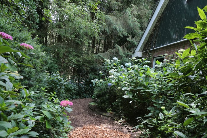 Foto 40 van Jinkepaed 5