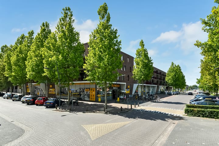 Foto 1 van Basilica 43