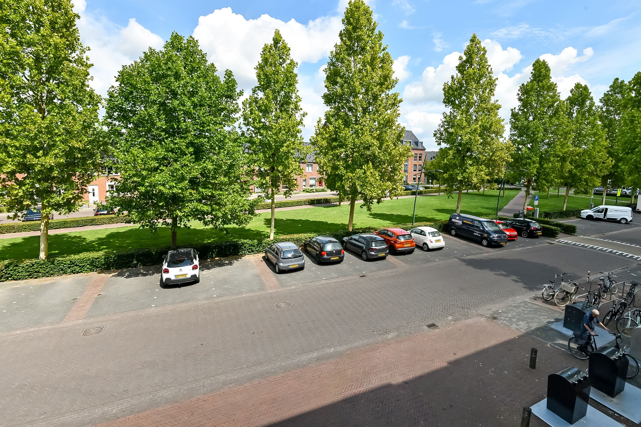 Photo 3 of Basilica 43