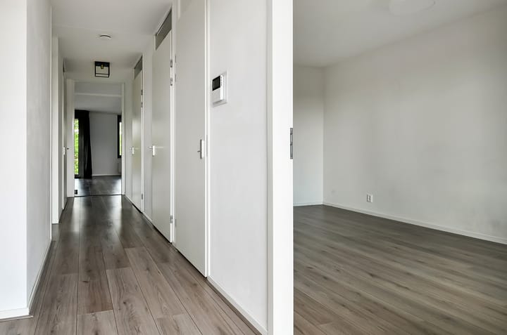 Foto 11 van Basilica 43