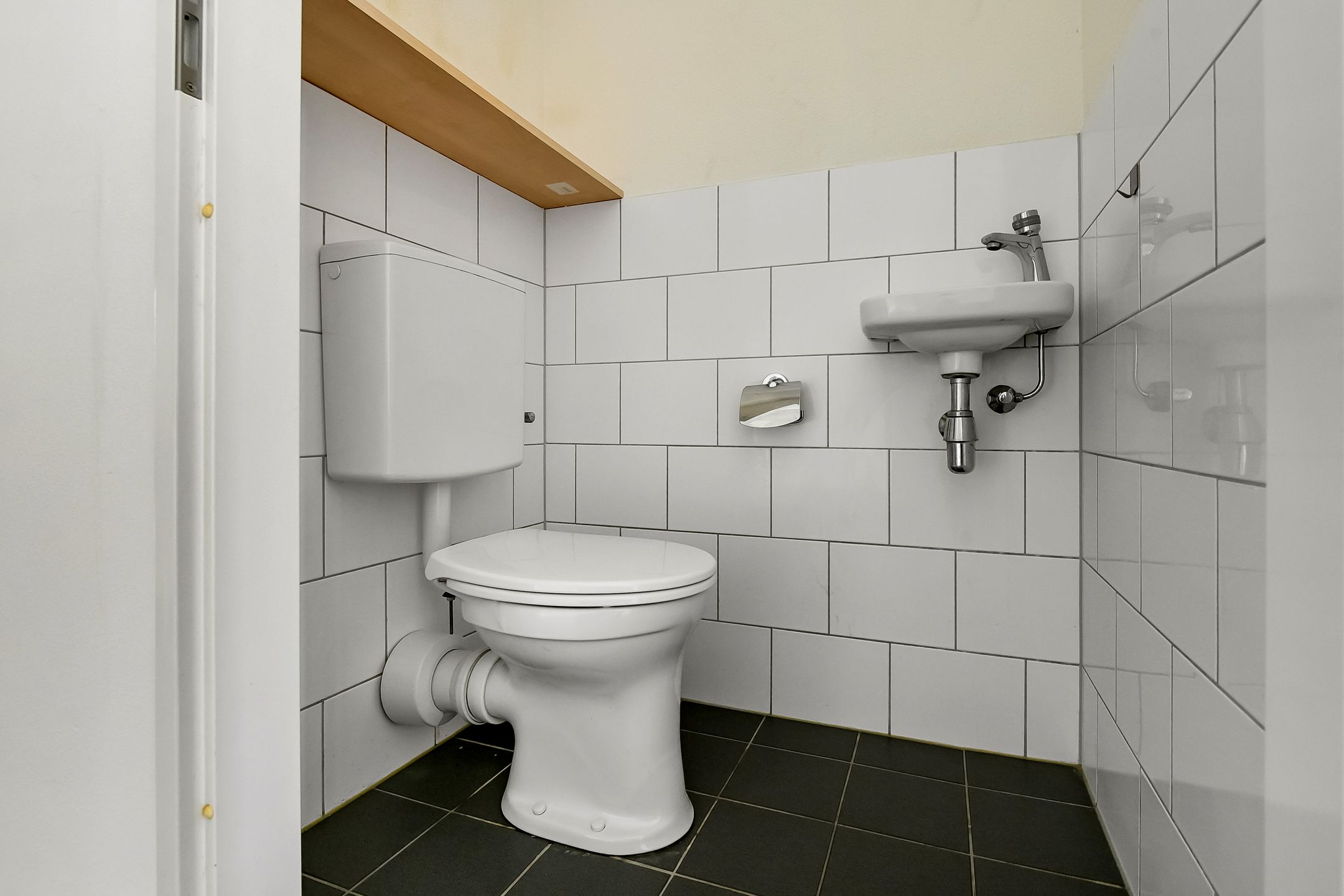 Photo 12 of Basilica 43