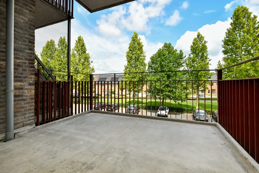 Photo 13 of Basilica 43