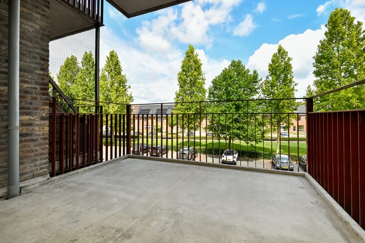 Foto 13 van Basilica 43