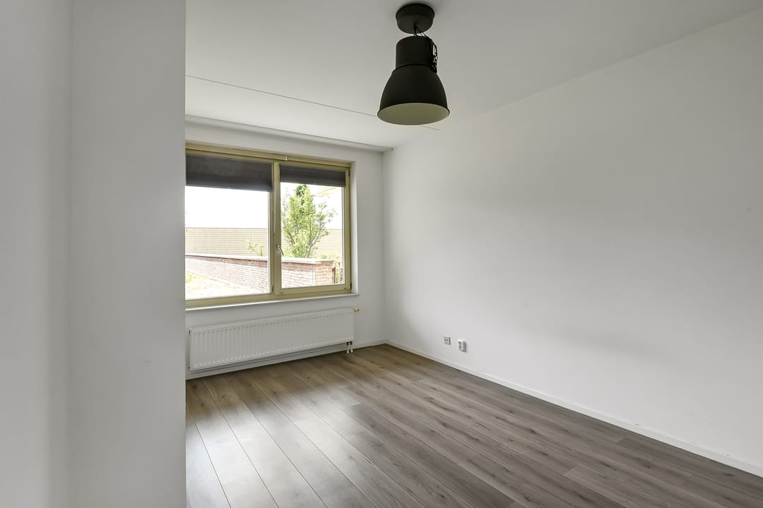 Photo 16 of Basilica 43