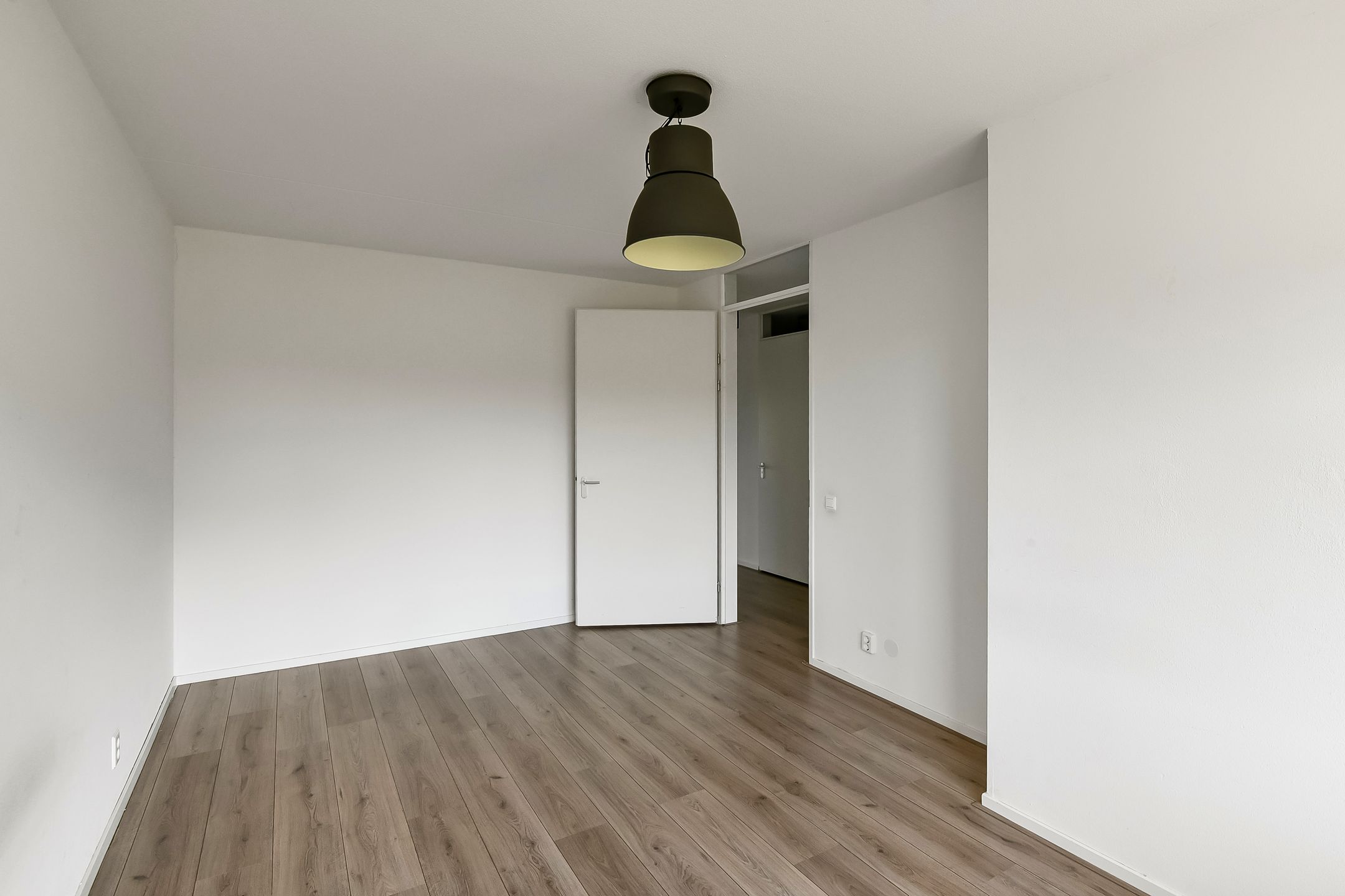 Photo 18 of Basilica 43