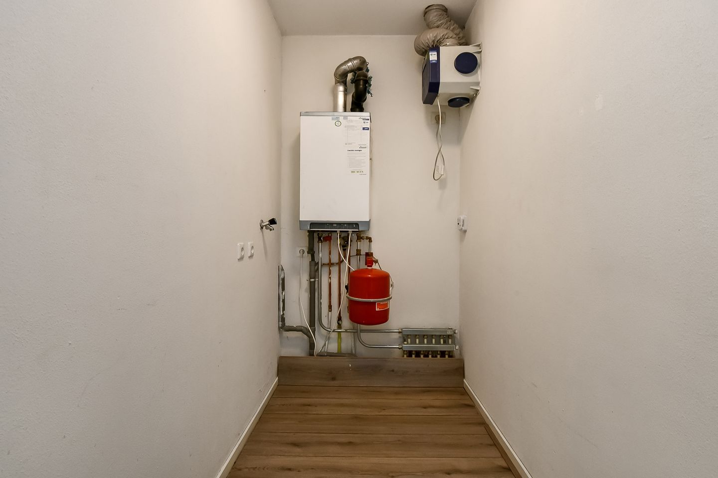 Photo 25 of Basilica 43