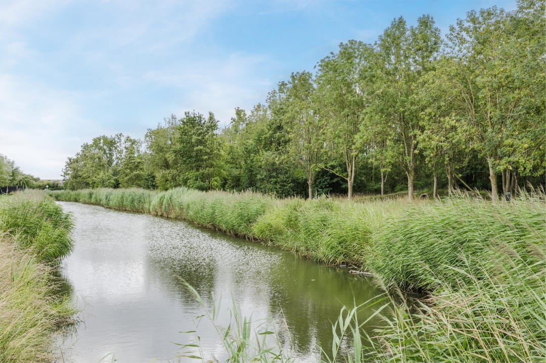 Foto 53 van Molenzicht 143