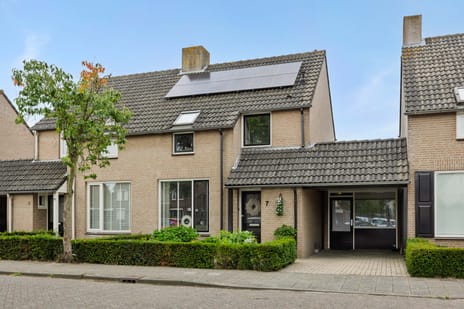 undefined main image