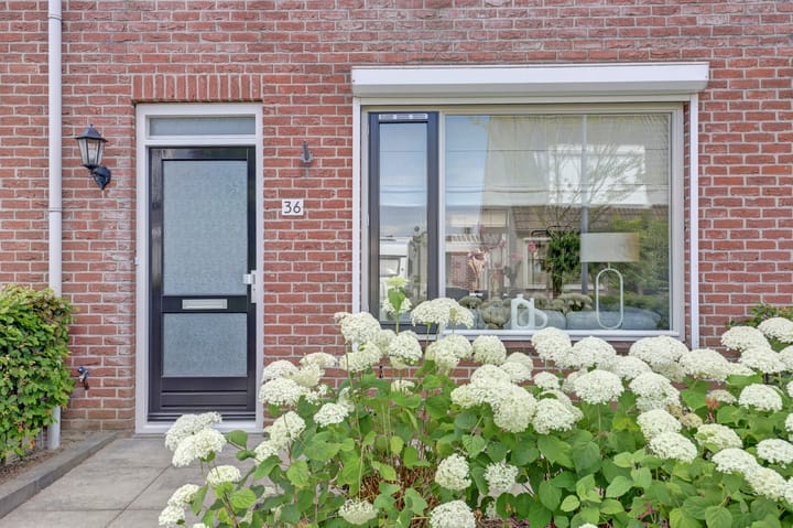 Foto 2 van Watervliet 36