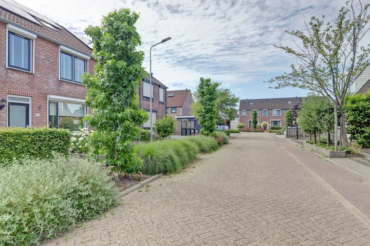 Foto 4 van Watervliet 36