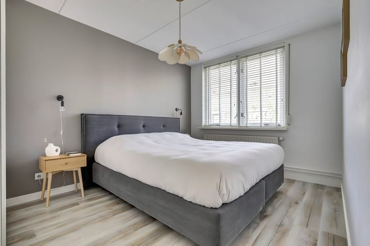 Foto 15 van Watervliet 36