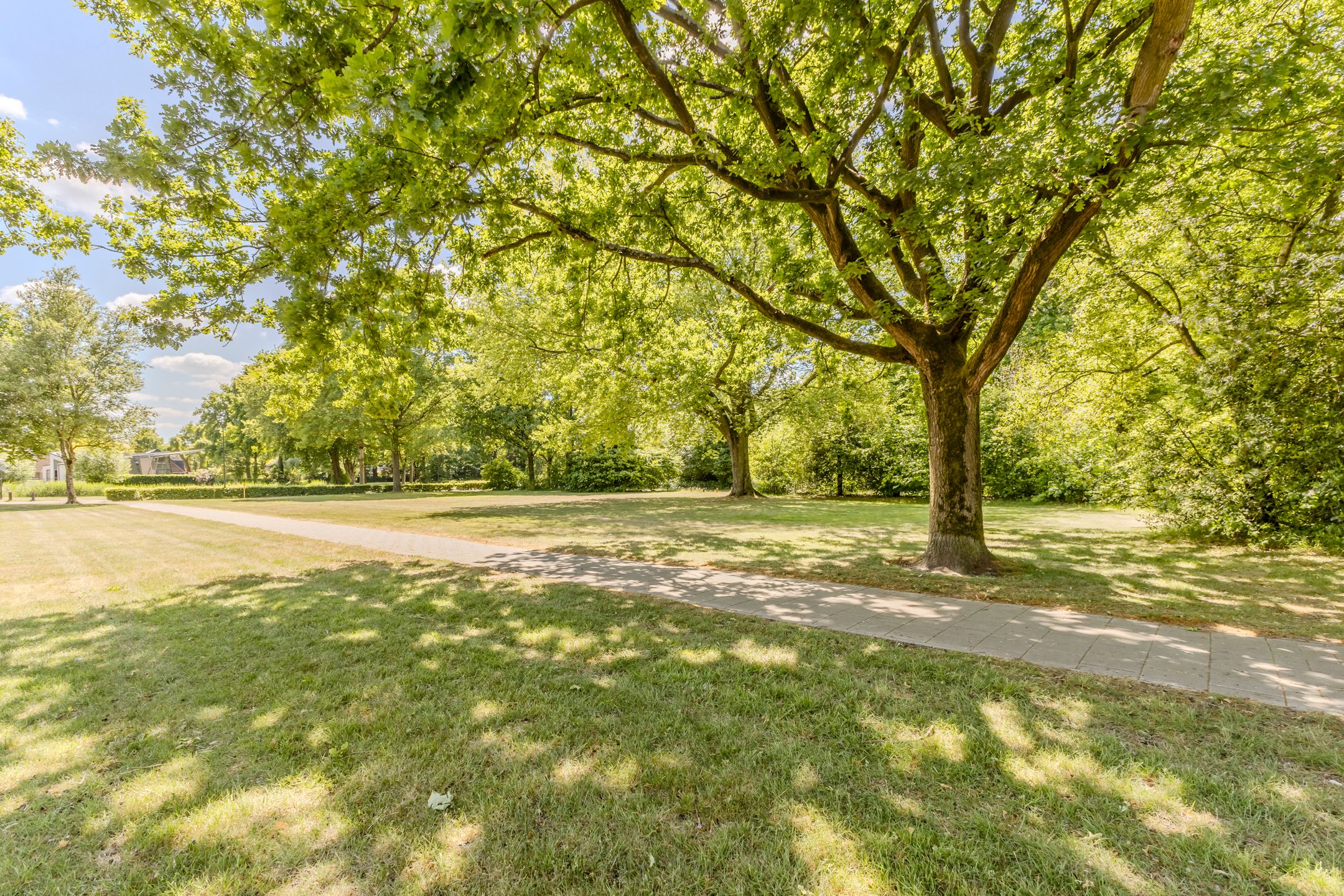 Foto 3 van Evertsenstraat 38