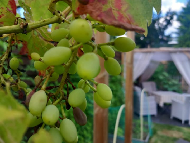 Foto 40 van Evertsenstraat 38