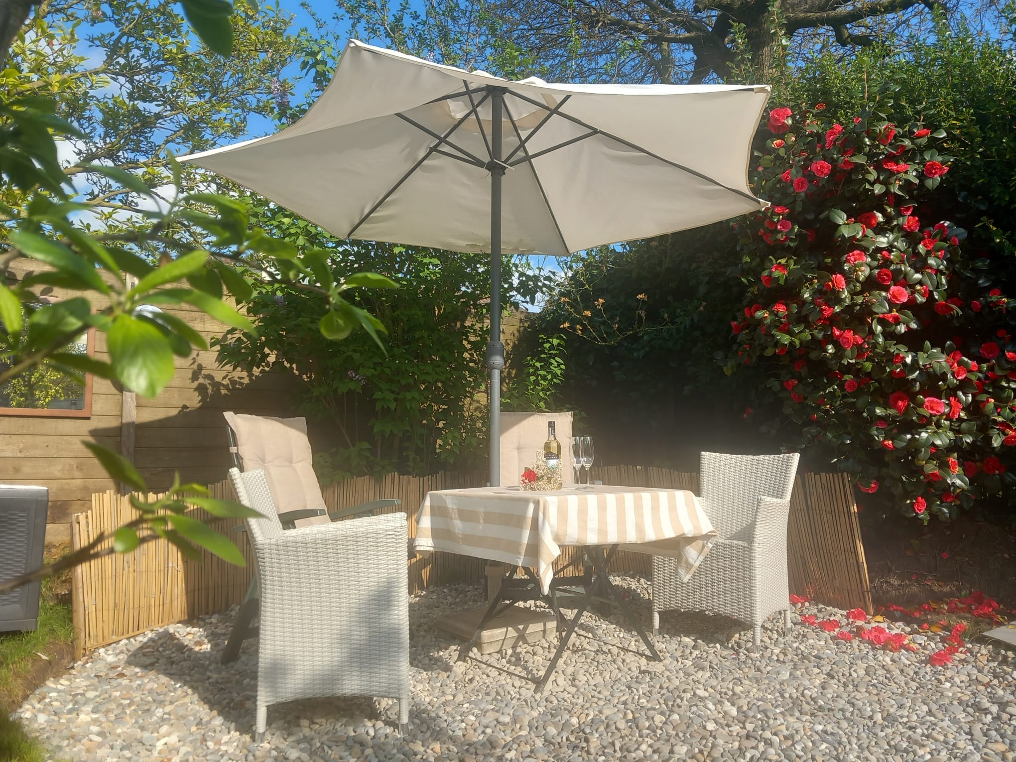 Foto 45 van Evertsenstraat 38