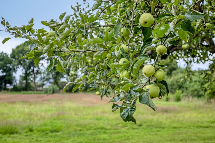 Foto 68 van Hoofdstraat 16