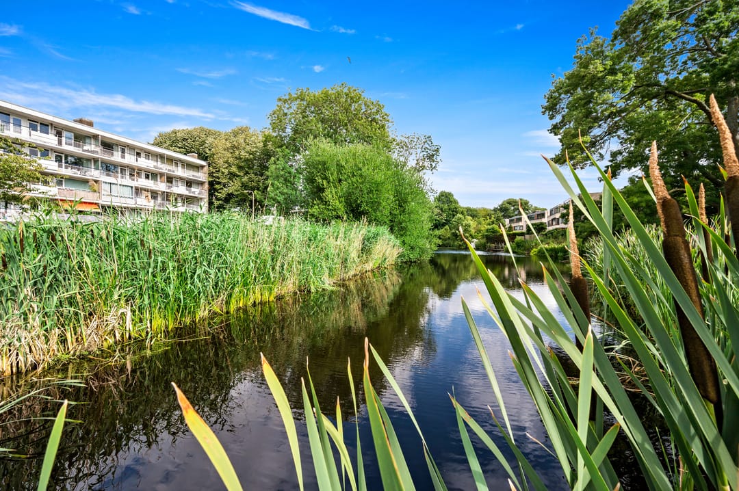 Foto 38 van Saffierhorst 4