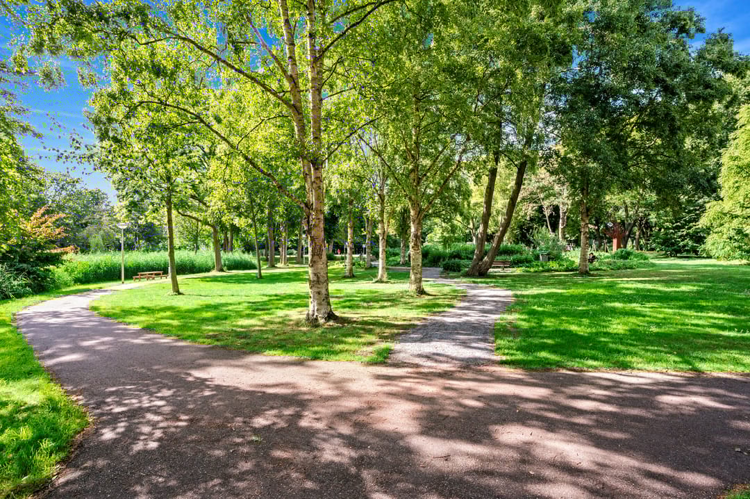 Foto 37 van Saffierhorst 4