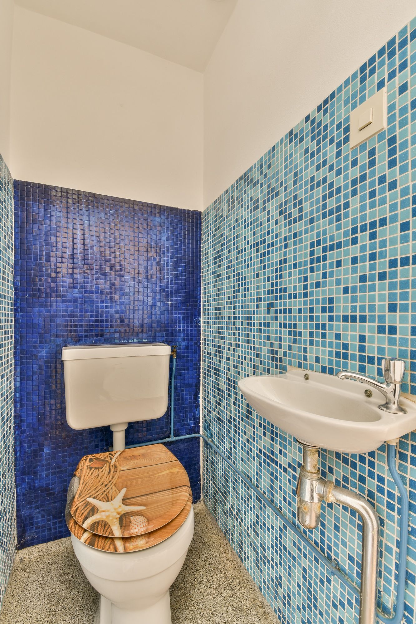 Foto 27 van Aurikelstraat 21