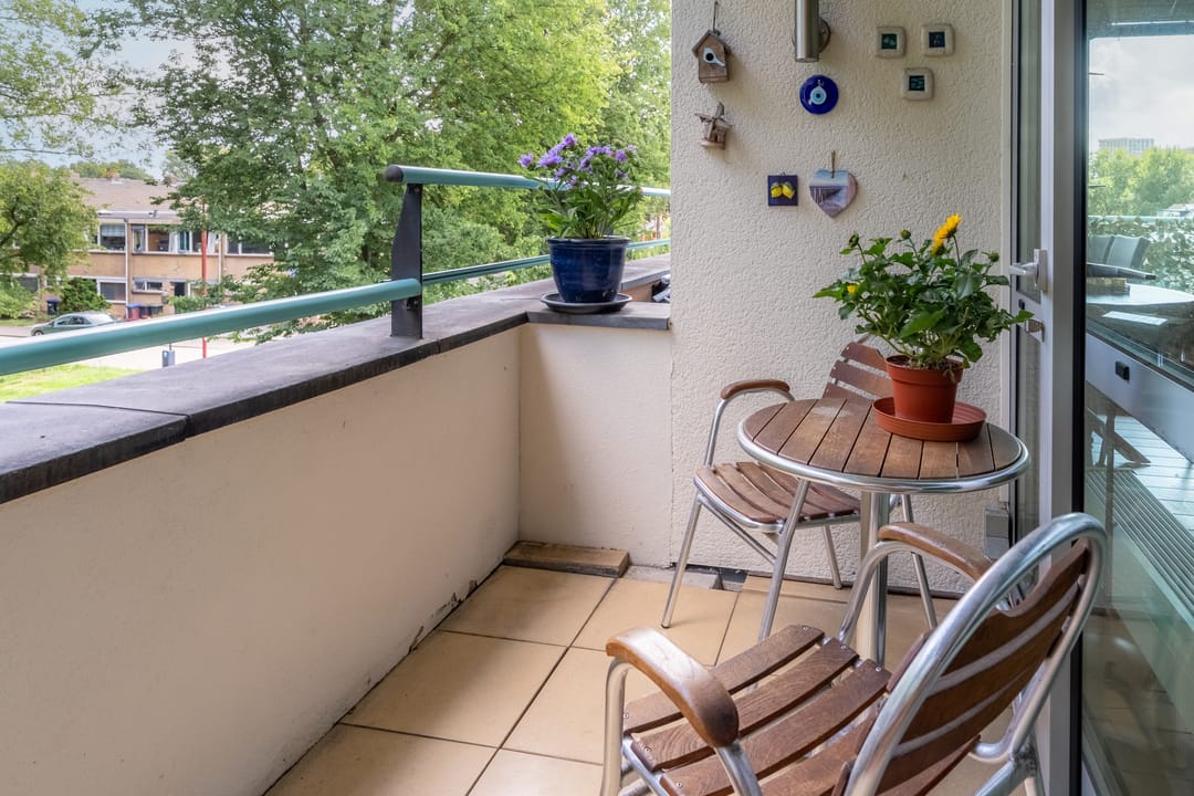 Foto 8 van van Reeslaan 77