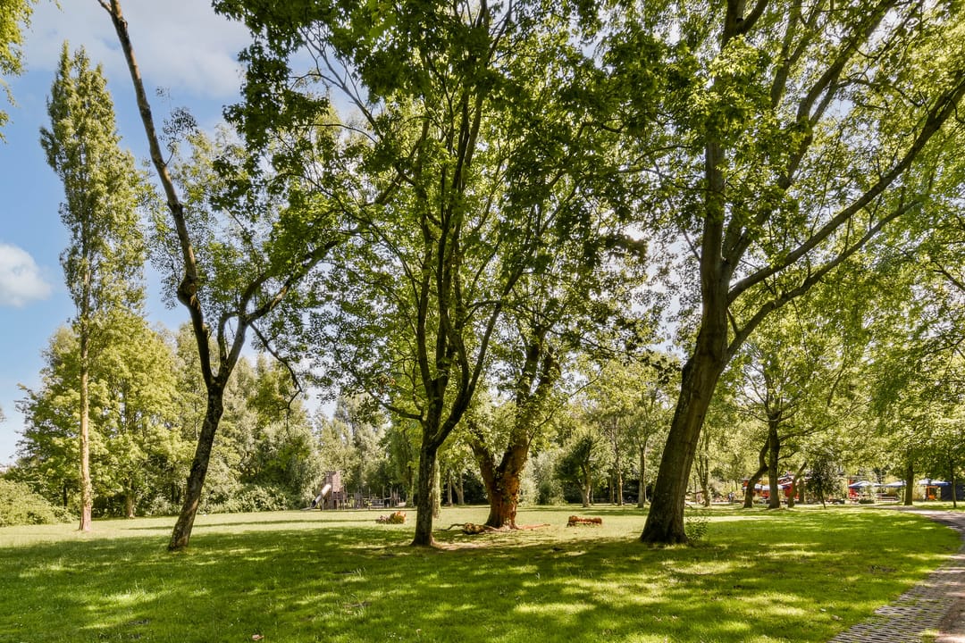 Foto 28 van Aurikelstraat 21