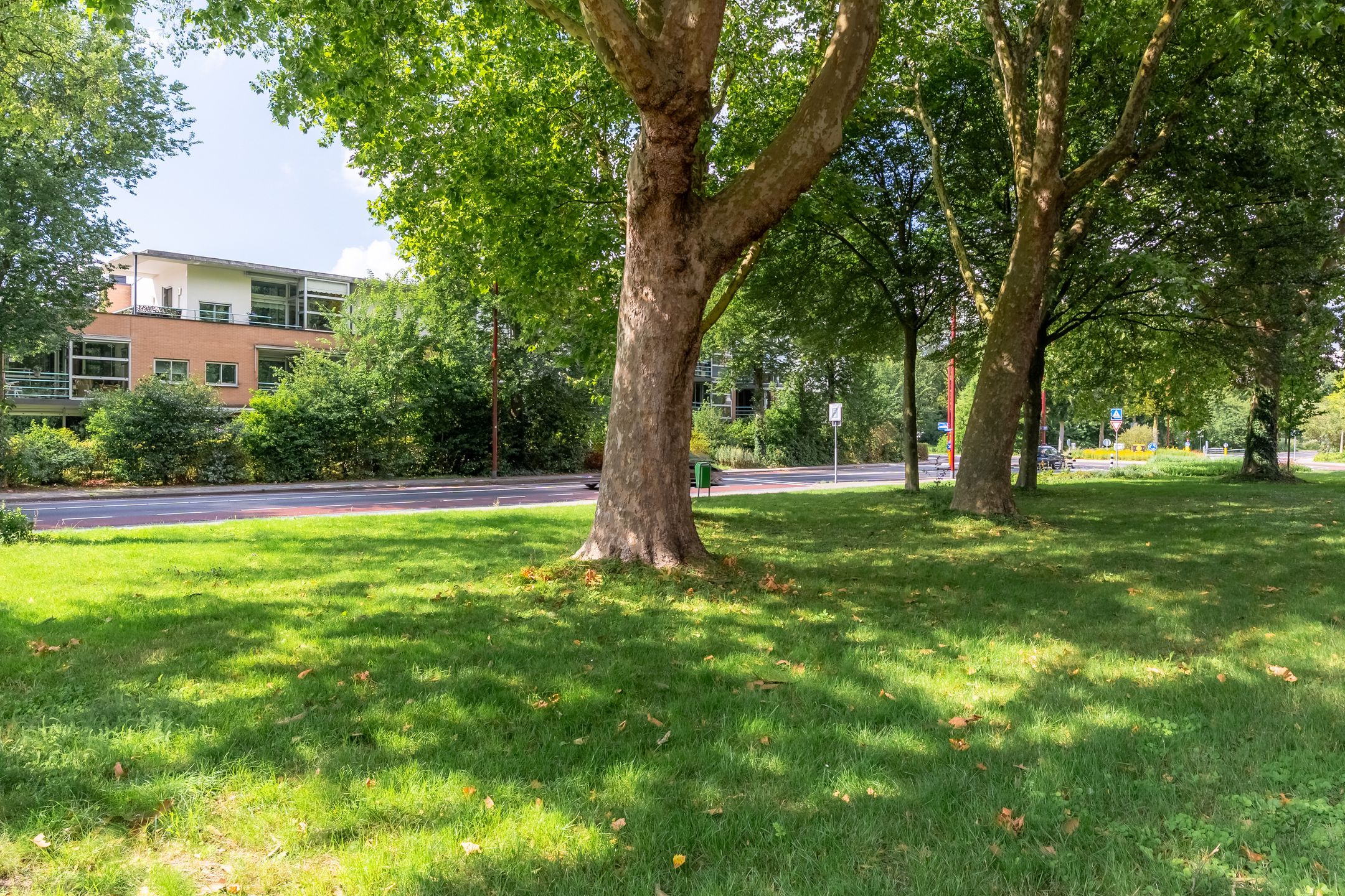 Foto 30 van van Reeslaan 77