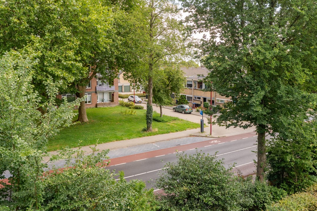 Foto 7 van van Reeslaan 77