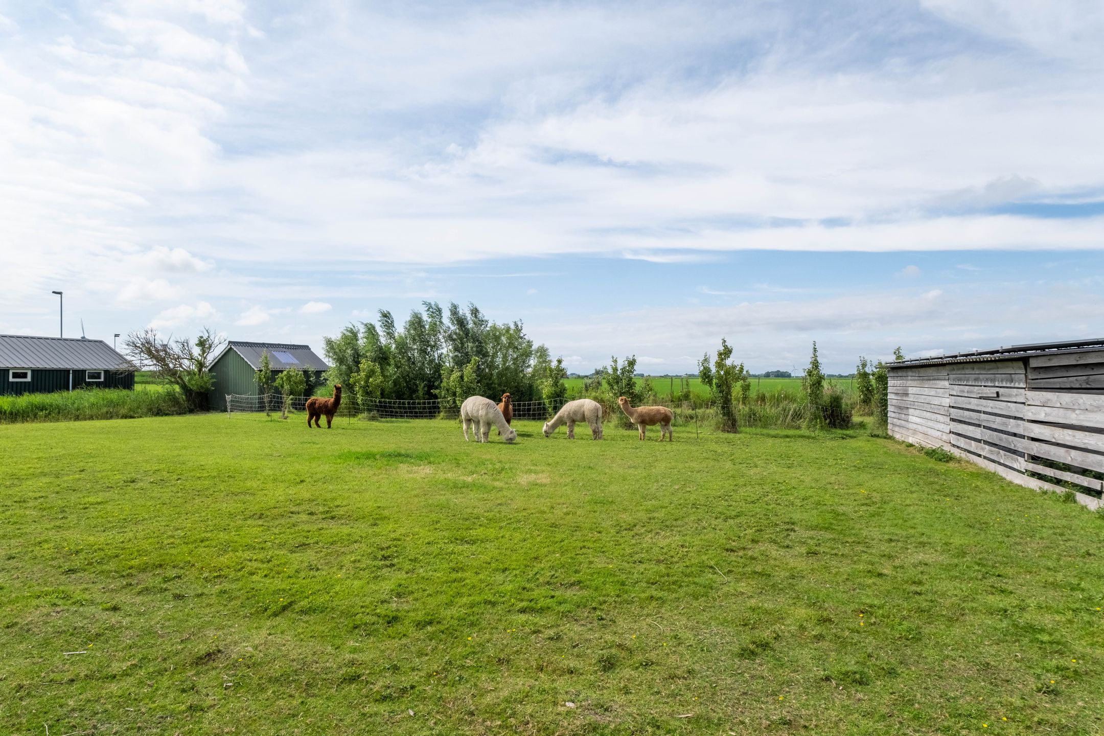 Foto 63 van van Aylvaweg 62