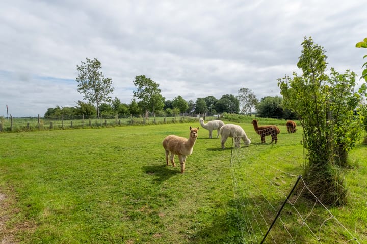 Foto 64 van van Aylvaweg 62