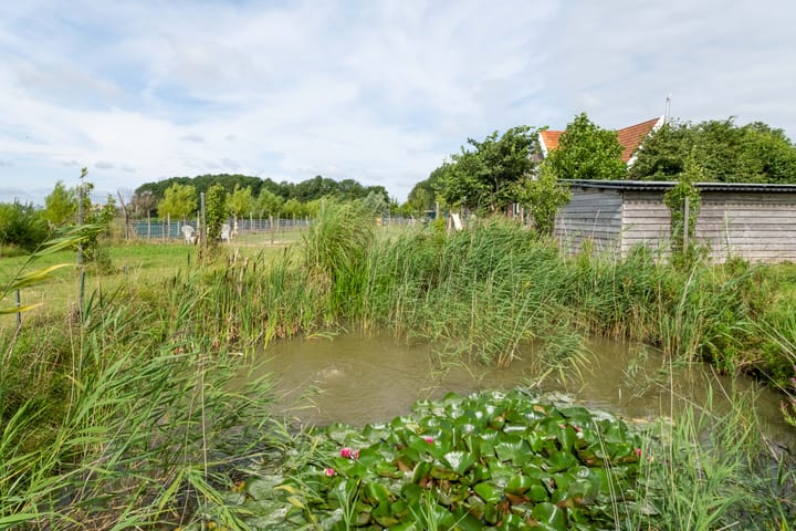 Foto 61 van van Aylvaweg 62