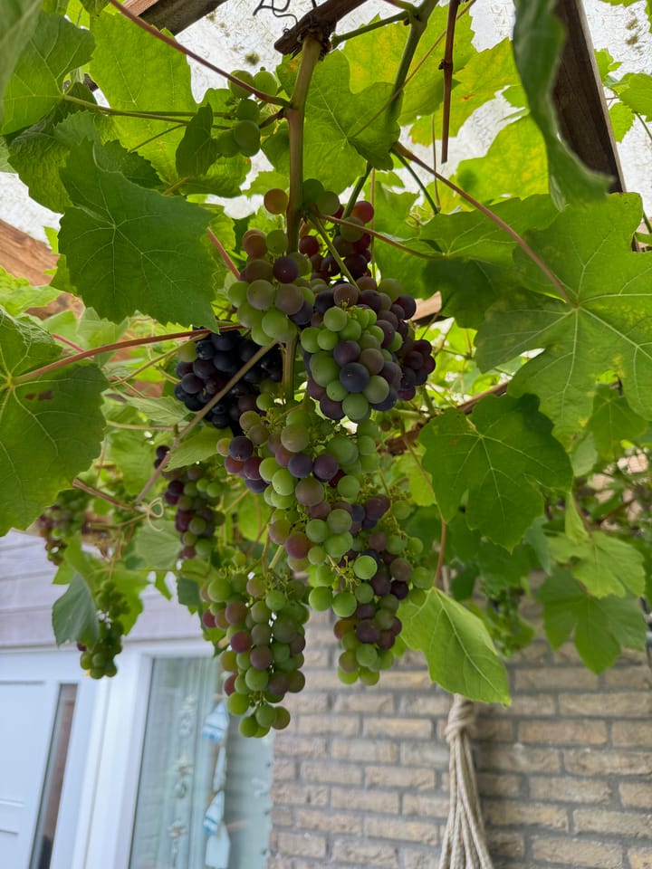 Photo 5 of Roggeslootweg 151