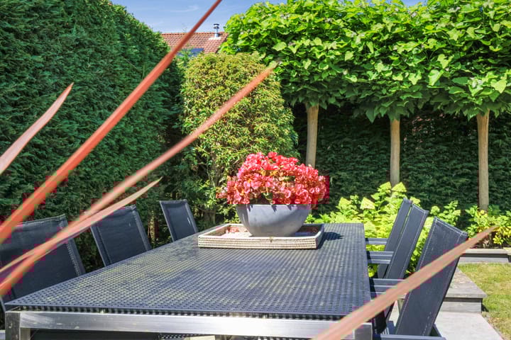 Foto 22 van Jean-Louis Pisuisselaan 59