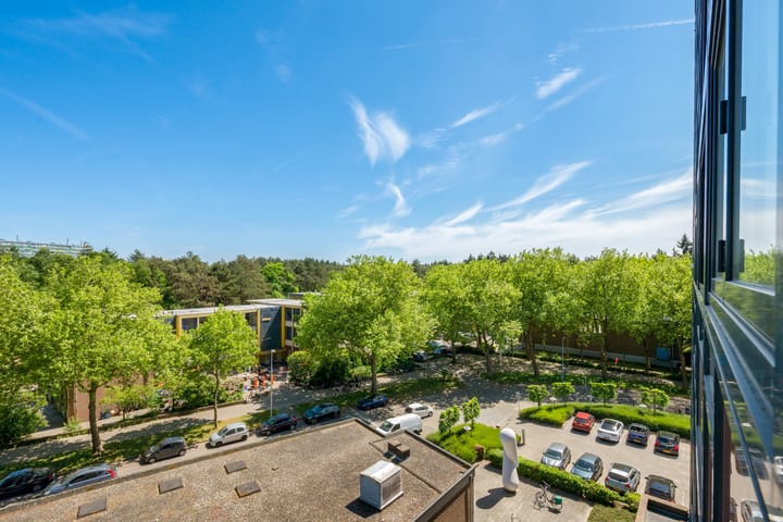 Photo 20 of Laan van Vollenhove 282