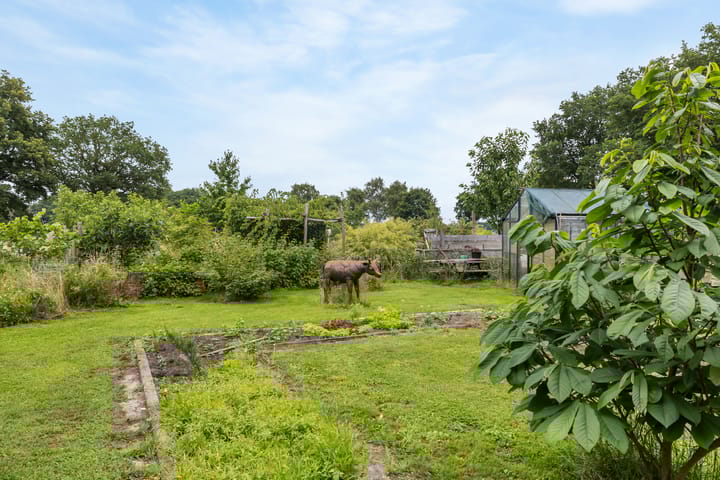 Foto 50 van Tijsweg 1