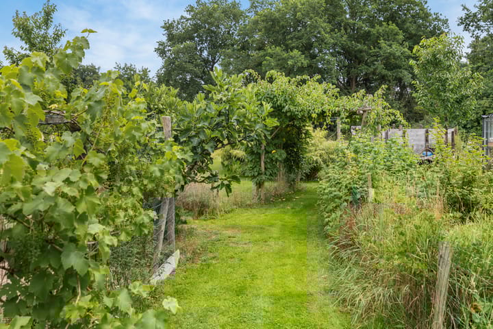 Foto 53 van Tijsweg 1